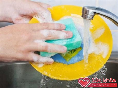Trên giẻ rửa bát thường có vi khuẩn campylobacter - gây ảnh hưởng đến dây thần kinh của con người