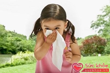 Vào mùa xuân, bào tử nấm và phấn hoa chính là các tác nhân chính gây nên bệnh viêm mũi dị ứng ở trẻ em