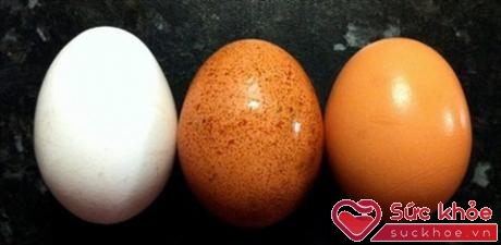 Màu sắc vỏ trứng cho bạn biết là giống gà mà đẻ ra quả trứng đó