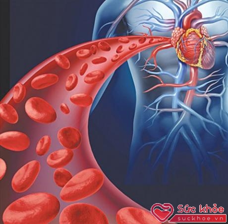 Ngất do tim thường xảy ra khi hiệu suất bơm máu của tim đi nuôi các cơ quan nhất là não bị giảm đột ngột do loạn nhịp tim