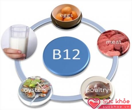 Thiếu B12 dễ gây thiếu máu
