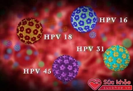 Hiện có hơn 40 chủng vi-rút HPV (Ảnh minh họa: Internet)