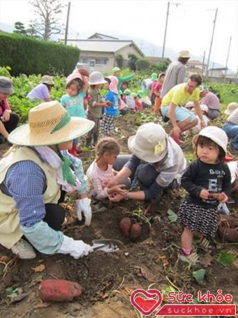 Trẻ ở các lớp mầm non của Nhật được học qua các hoạt động vui chơi và tìm hiểu thiên nhiên ngoài trời (Ảnh: Internet)