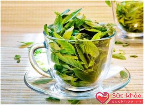 Cây neem từ lâu đã được sử dụng để điều trị chứng rụng tóc ở Đông Nam Á