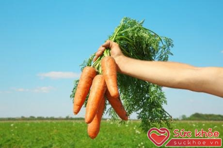 Cà rốt rất giàu chất glutathione và là một trong những loại rau có khả năng giải độc mạnh nhất