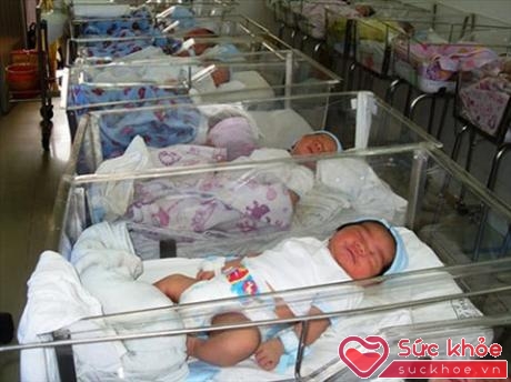 Trẻ sơ sinh tại Bệnh viện Từ Dũ