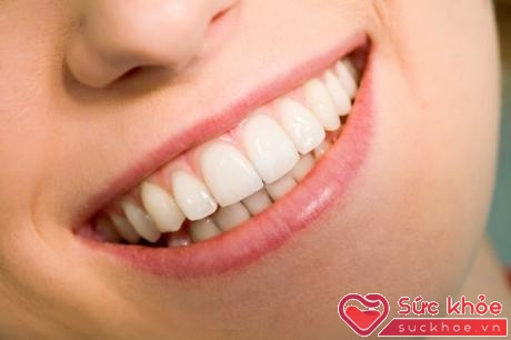 Nhấp răng 300 lần trong ngày có thể khiến răng chắc khỏe (Ảnh: huicui8.com)
