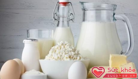 Trứng, sữa chua, sữa tươi hay pho mát bổ sung vitamin B12 cho cơ thể luôn tràn đầy năng lượng