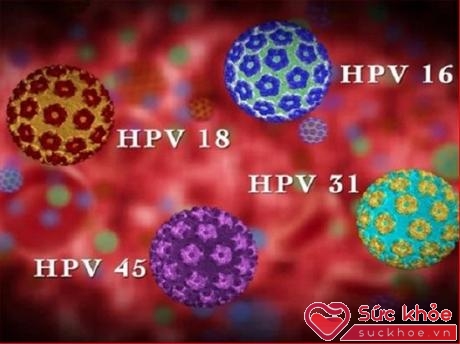 Sùi mào gà do virut HPV gây ra.