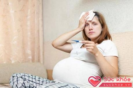 Sốt xuất huyết trong thời kì mang thai có những triệu chứng rất giống với cảm cúm