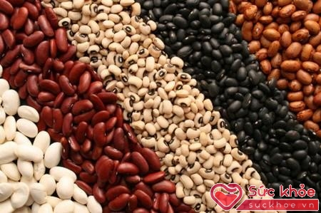 Các loại đậu cung cấp hàm lượng protein có lợi cho sức khỏe
