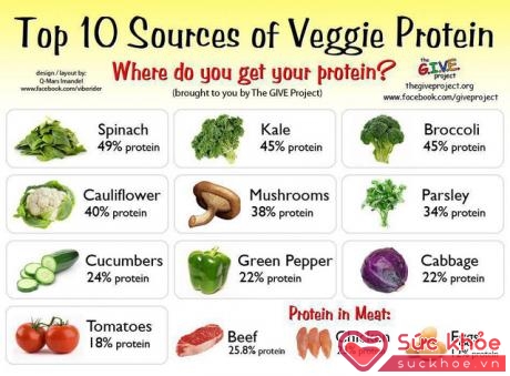 Top 10 nguồn cung giàu protein từ rau xanh