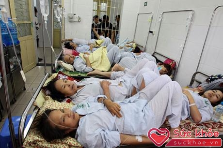 Bệnh nhân sốt xuất huyết điều trị tại BV Bạch Mai 