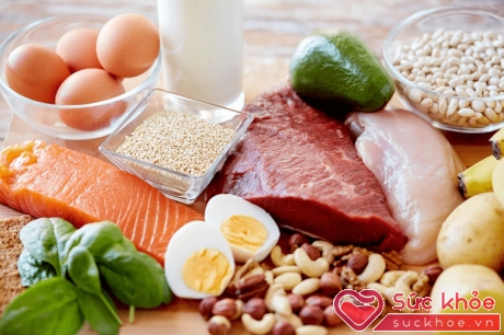 Năng lượng do protein (chất đạm) cung cấp nên chiếm 10 - 15% tổng năng lượng bữa ăn.