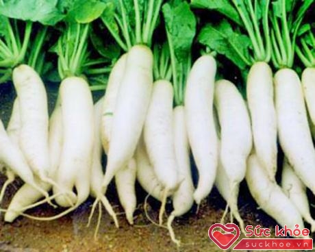 Củ cải trắng được coi là thần dược chữa trứng khô âm đạo