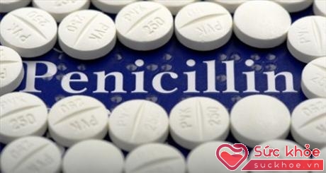 Pennicillin rất quen thuộc với người viêm họng