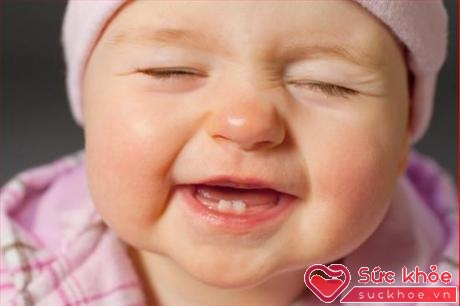 Khi mọc răng, nhiều bé sẽ bị đau lợi, sưng má, quấy khóc.