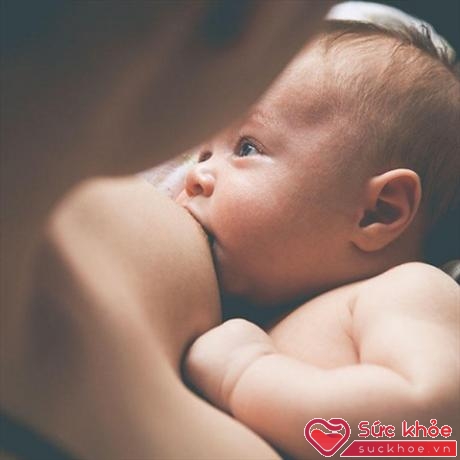 Núm vú bị nứt cổ gà, có cảm giác bỏng rát hoặc đau nhức đều là những triệu chứng các bà mẹ sữa có thể trải qua ở giai đoạn cho con bú