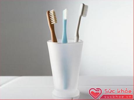 Hầu hết các gia đình đều đặt bàn chải đánh răng trong nhà vệ sinh