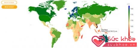 Chiều cao của nam giới Việt Nam đang thuộc nhóm thấp nhất trên thế giới