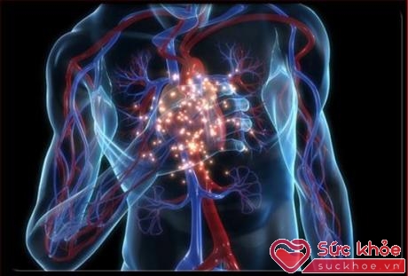 Những triệu chứng bệnh tim có thể tồn tại trong nhiều năm mà người bệnh không biết.