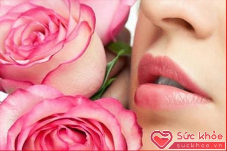 Hoa hồng có tác dụng làm mát làm mềm và tăng cường độ ẩm cho môi