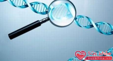 Một nửa triệu các gen khác nhau có chứa thông tin di truyền liên quan đến nguy cơ mắc bệnh