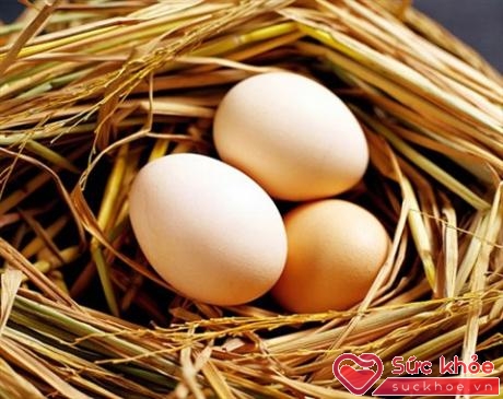 Nên chú ý đến nguồn gốc sản phẩm, nên mua trứng ở siêu thị và những cơ sở đã được kiểm dịch 