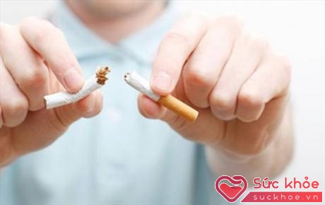 Húng quế sẽ giúp bạn 'chán' thuốc lá