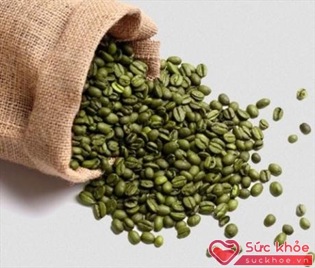 Trong cà phê xanh có chứa a-xít chlorogenic có khả năng ngăn ngừa sự hấp thụ chất béo