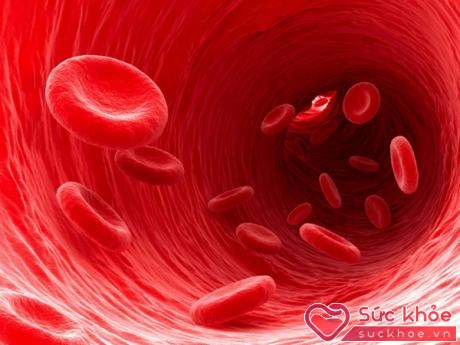 Huyết áp có thể xem như áp lực cần có để đẩy máu đi xuyên qua các mạch máu