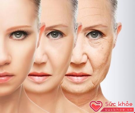 Nếu không được để ý chăm sóc kỹ, làn da của bạn sẽ nhanh chóng lão hóa.