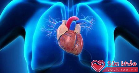 Người mắc bệnh tim mạch vành nên chú ý chế độ ăn uống thiết yếu là vô cùng quan trọng.