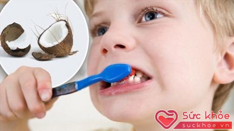Dầu dừa có công dụng loại bỏ vi khuẩn tốt hơn nhiều loại kem đánh răng