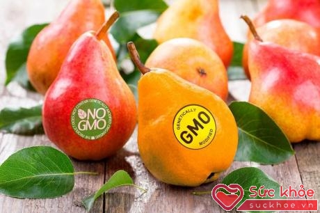 Nước ta đang là quốc gia có số lượng thực phẩm GMO cao