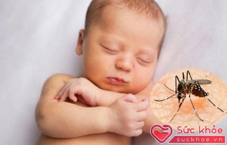 Vết cắn đốt của côn trùng có thể ảnh hưởng đến thẩm mỹ, sức khỏe và thậm chí cả tính mạng của trẻ