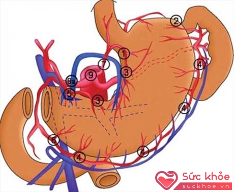 Điều trị can thiệp, quang động lực... là những phương pháp tiên tiến 