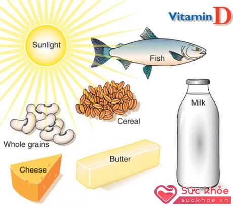 Nguồn cung cấp vitamin D từ từ nhiên và thực phẩm