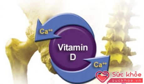 Có thực sự vitamin D và canxi có tác dụng trong phòng chống loãng xương?