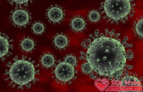 Vi-rút cúm A/H5N1 rất nguy hiểm cho sức khoẻ.