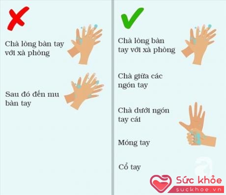 Trong cách rửa tay đúng, mỗi phần của da trên tay, bao gồm cả các điểm giữa các ngón tay, nên được cọ xát bằng xà phòng.