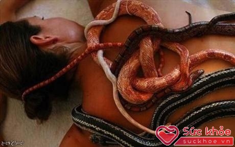 Massage bằng rắn.