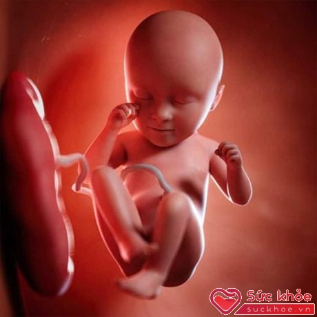 Sa dây rốn là biến chứng thường xảy ra vào giai đoạn cuối của thai kỳ.
