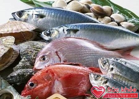 Hải sản chứa nhiều omega- 3 giúp giảm mỡ máu tốt chotim mạch