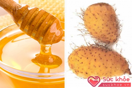Củ từ kết hợp với mật ong có tác dụng cải thiện tình trạng khô âm đạo