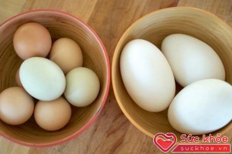Theo quan niệm dân gian phụ nữ mang thai ăn trứng ngỗng sẽ giúp con khỏe mạnh và thông minh.