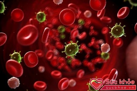 Bệnh ung thư máu là một dạng ung thư tế bào máu ác tính và gây tử vong trong một thời gian ngắn