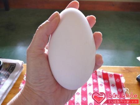 Thành phần dinh dưỡng của trứng ngỗng cũng tương đương như các loại trứng gia cầm khác, thậm chí còn thấp hơn trứng gà