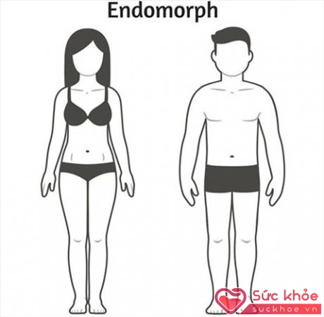 Tạng người ectomorph.