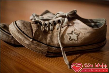 Để giày khô hẳn và loại bỏ các mảng bám bùn đất trước khi giặt